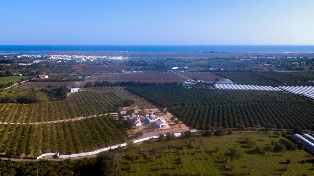 Quinta da Pintassilga Villa Tavira Esterno foto