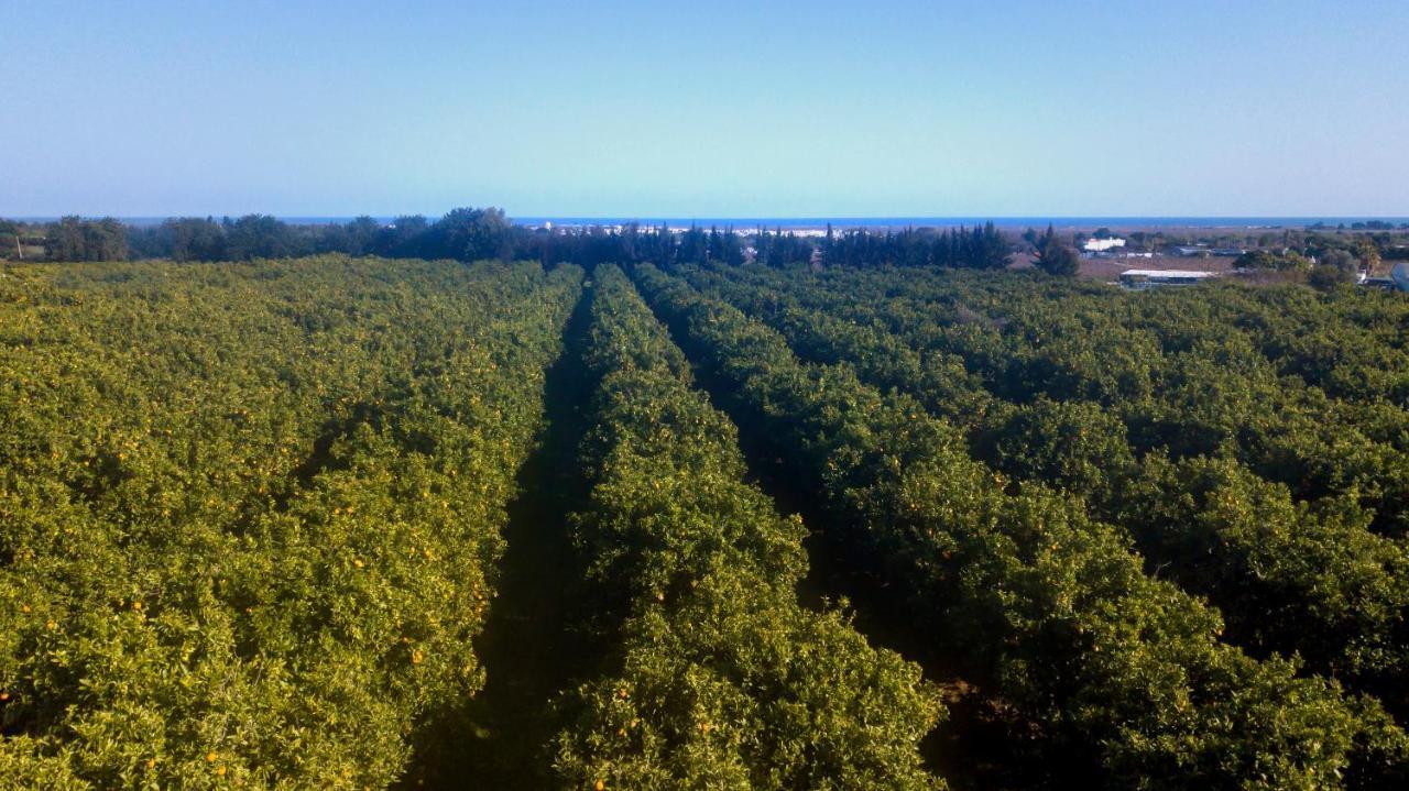 Quinta da Pintassilga Villa Tavira Esterno foto